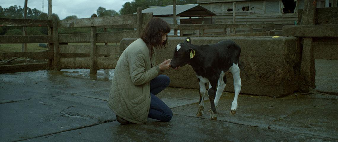La Película - La vaca que cantó una canción hacia el futuro | Cinelatino