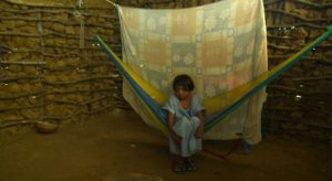 La eterna noche de las doce lunas