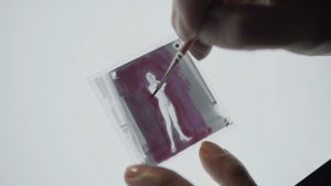 Foto estudio Luisita