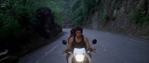 La Máxima logitud de un puente