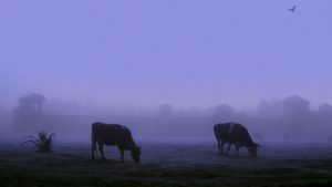 Los Suenos del castillo